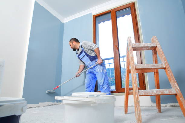 Best Emergency Mold Remediation  in Elkhorn, WI