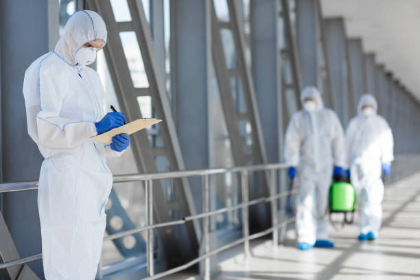 Best Post-Construction Mold Inspection  in Elkhorn, WI