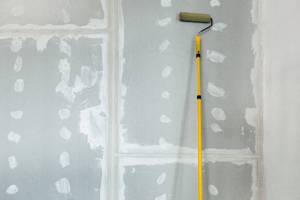 Best Forensic Mold Investigation  in Elkhorn, WI
