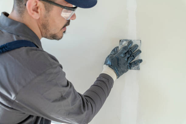 Best Water Damage & Mold Remediation  in Elkhorn, WI