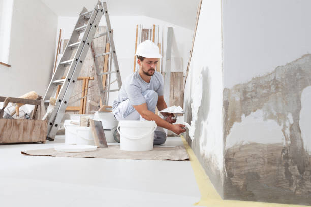 Best Crawl Space Mold Remediation  in Elkhorn, WI