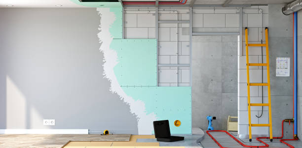Best Commercial Mold Inspection  in Elkhorn, WI