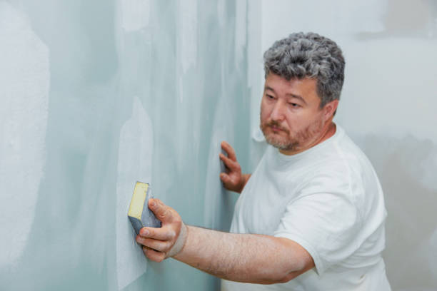 Best Environmental Consulting for Mold Prevention  in Elkhorn, WI