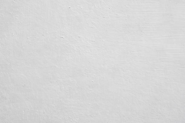 Best Attic Mold Removal  in Elkhorn, WI