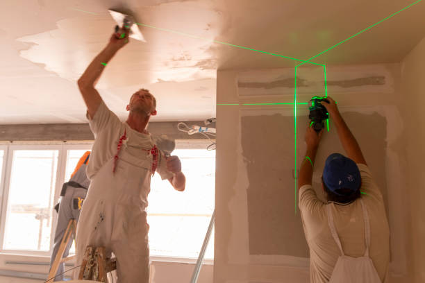 Best Mold Remediation for Healthcare Facilities  in Elkhorn, WI