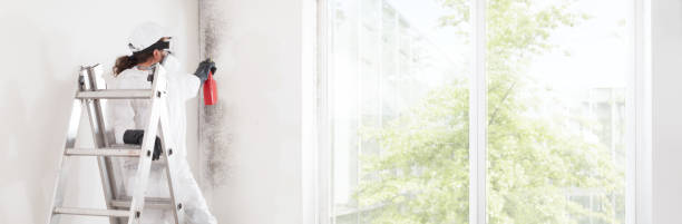 Best Air Quality Testing for Mold Spores  in Elkhorn, WI